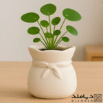 محصول خروجی قالب سیلیکونی گلدان مدل کیسه گل